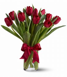 Radiantly Tulips from Parkway Florist in Pittsburgh PA